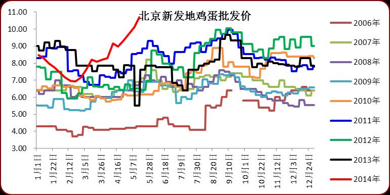 北京雞蛋今日最新報價，時代印記與市場的微妙脈動