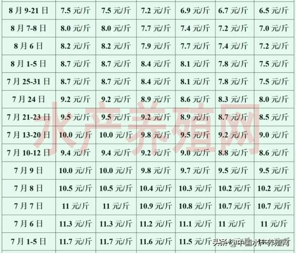 全面解析牛蛙市場行情，最新牛蛙價格揭秘！