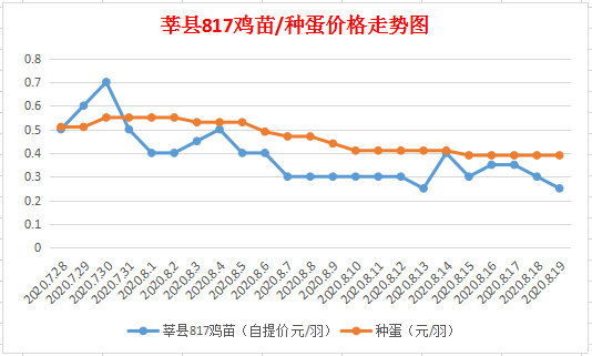 莘縣黃瓜價(jià)格行情分析，最新動(dòng)態(tài)、市場預(yù)測與趨勢展望