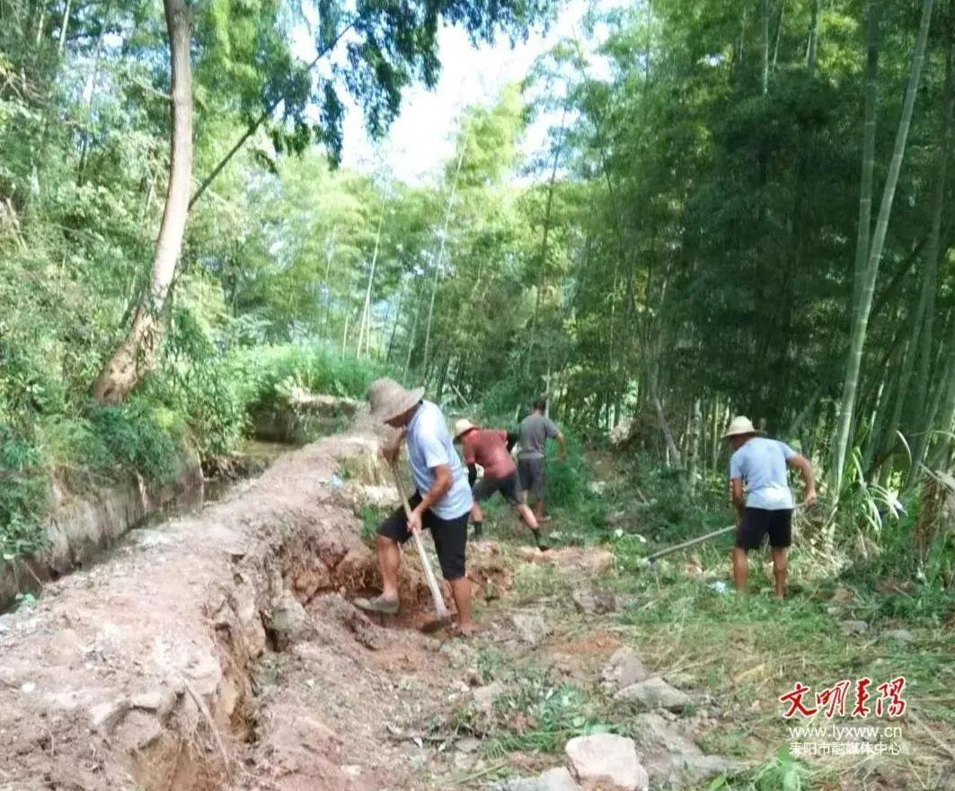 耒陽停水最新消息，小巷深處的獨特邂逅揭秘供水狀況