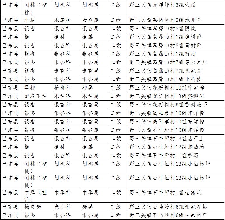 金陽縣最新任免公示揭秘，小巷中的隱藏瑰寶