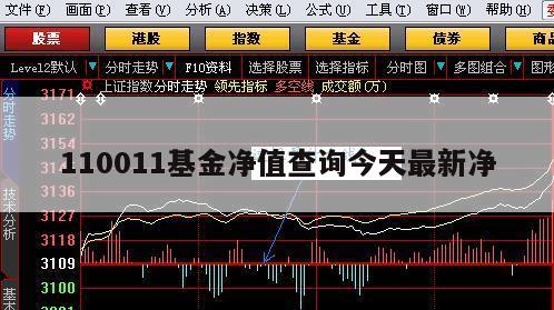 今日最新凈值揭秘，深度探討110011基金凈值查詢