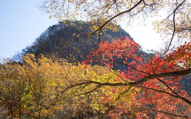 最新電視劇探索自然美景的治愈之旅之旅首播在即