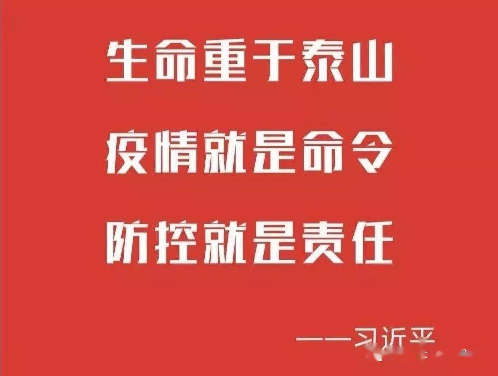 最新疫情通報與小巷深處的特色小店探秘