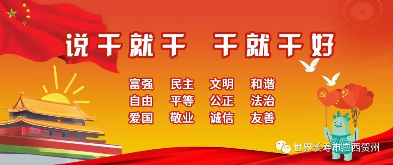 最新司機(jī)招聘信息，一起駛向自然，探尋內(nèi)心寧靜與風(fēng)景詩意之旅