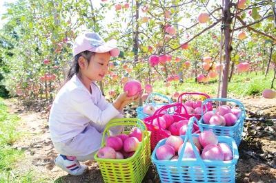 新建區(qū)最新動(dòng)態(tài)，揭開(kāi)時(shí)代新篇章序幕