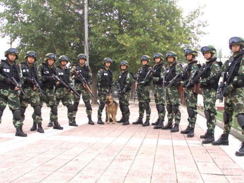 武警部隊最新動態(tài)，溫馨日常