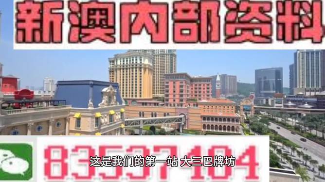 “2024澳門正版精準免費指南，安全解析攻略_挑戰(zhàn)版MYN778.28”