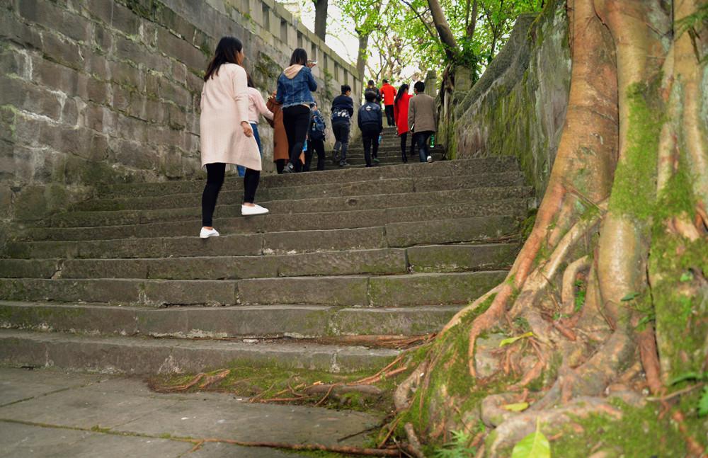 簡陽東溪鎮(zhèn)最新規(guī)劃圖揭秘，小巷風(fēng)情與隱藏之寶探索