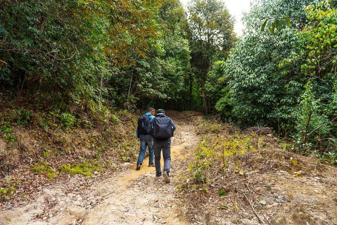 南嶺國家公園最新動態(tài)，自然美景探索之旅正式啟程！