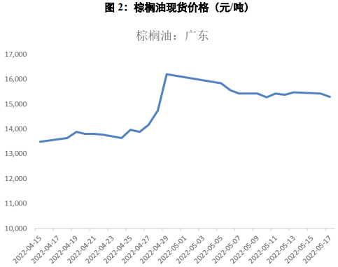 棕櫚油現(xiàn)貨價格動態(tài)，最新行情深度分析與影響探討