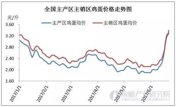 今日蛋價(jià)行情及市場走勢分析與預(yù)測