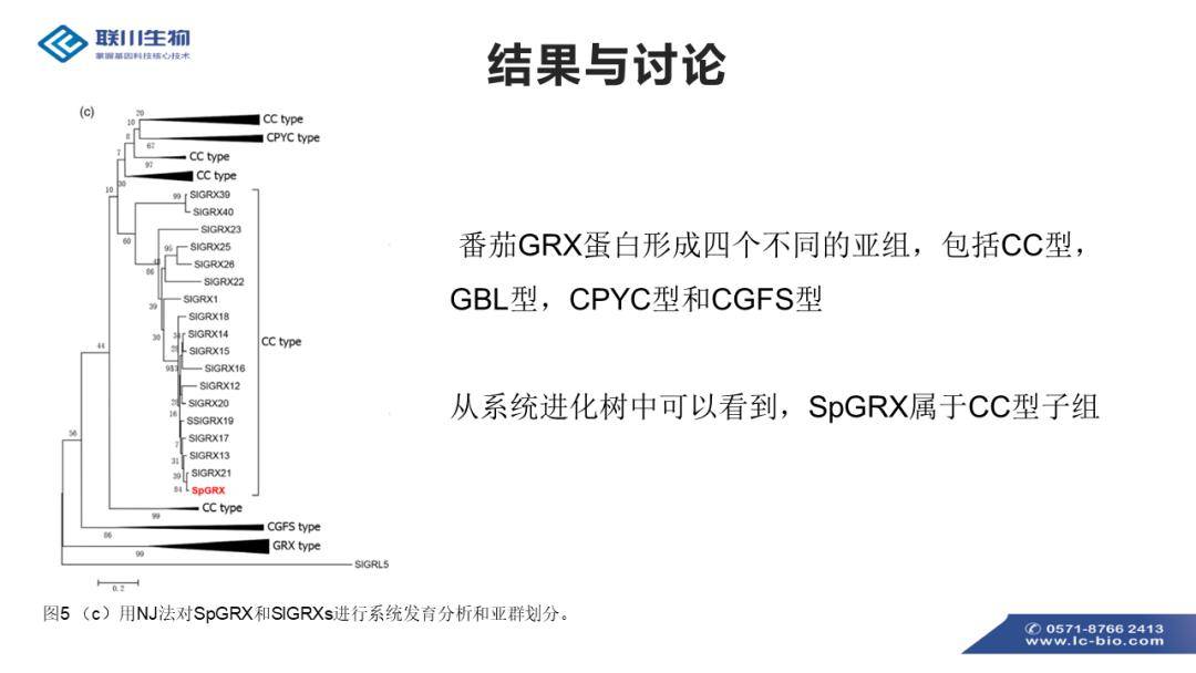 新澳精準(zhǔn)資料免費(fèi)分享第219期：簡(jiǎn)易ERK814.62解析指南