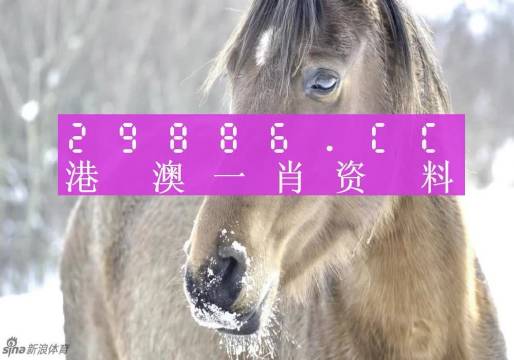 澳門一肖一碼100準(zhǔn),資源實(shí)施策略_優(yōu)選版IJE134.53