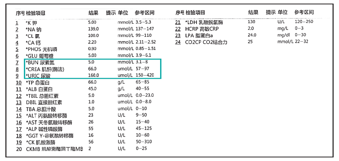 肌酐正常值最新標(biāo)準(zhǔn)2024，變化中的自信與學(xué)習(xí)成長(zhǎng)的勵(lì)志篇章