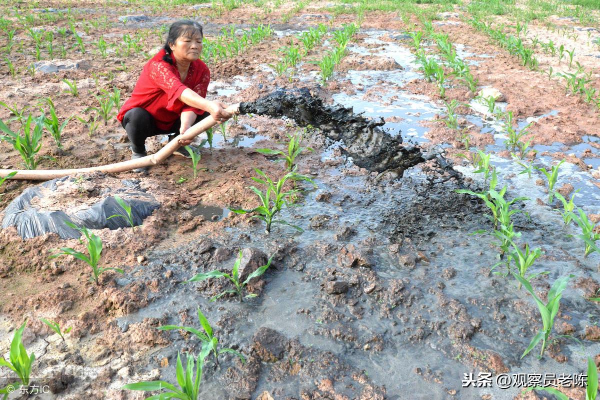 化肥市場最新行情概覽，走勢分析與未來展望