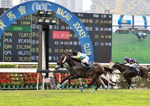 今晚澳門馬出什么特馬,綜合模糊評判_貝碧嘉JTS6.79.3