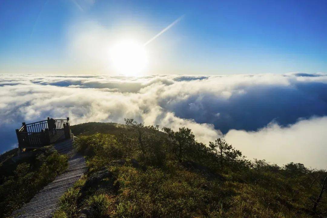 龍泉直播平臺(tái)，探索自然美景，尋覓內(nèi)心平和之旅