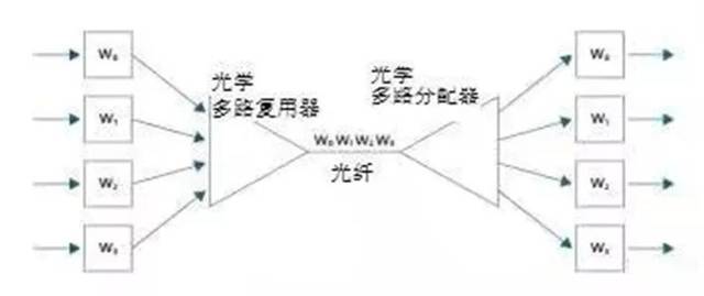 2024免費攻略寶典：詳盡數據解析_MPO68.499抗菌升級版