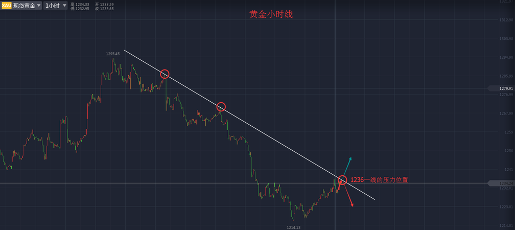 香港今夜預(yù)測(cè)一肖，數(shù)據(jù)驅(qū)策策略_SAE68.944靈動(dòng)版