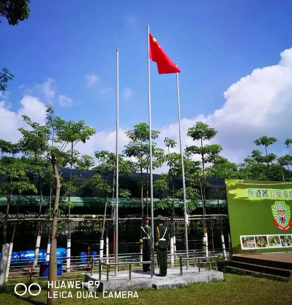 看直播升旗，探尋內(nèi)心平靜的心靈之旅