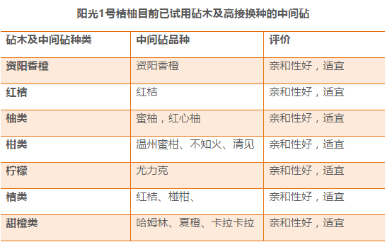 新奧天天免費(fèi)資料正版優(yōu)勢詳解及實(shí)施說明_WSH2.46.53日常版