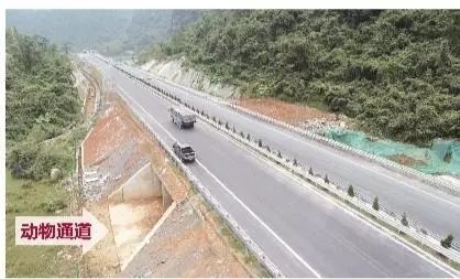 羅城高速公路最新動態(tài)，消息及其影響深度解析