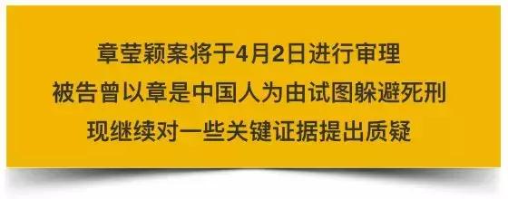 章瑩穎案件最新進展詳解，關(guān)注案件進展，不容忽視的細節(jié)與真相探索