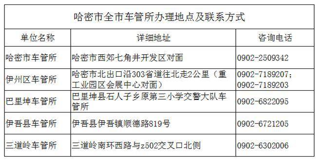 哈密市副市長名單最新一覽及查詢步驟指南