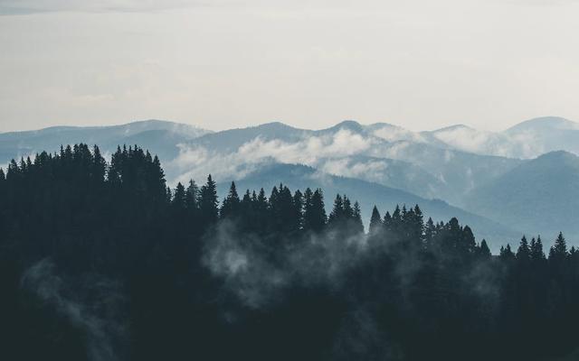 廢柴視頻網(wǎng)最新入口，自然美景的治愈之旅探索