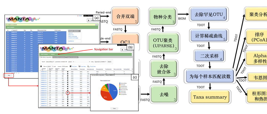 白小組正版免費(fèi)資料,專(zhuān)業(yè)數(shù)據(jù)點(diǎn)明方法_GBC96.186運(yùn)動(dòng)版