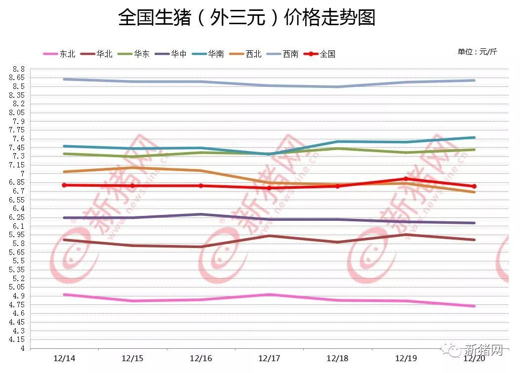 廣東陽江的最新豬價,廣東陽江的最新豬價及其影響因素分析