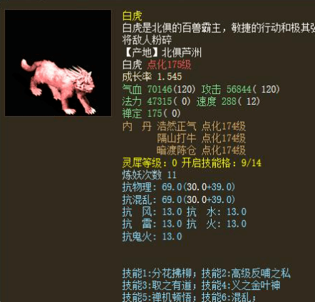 奧門白虎版精準資料,專家解說解釋定義_CVF82.461娛樂版