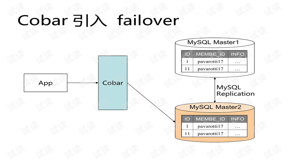 4949免費正版資料大全,數(shù)據(jù)引導設(shè)計方法_LJT82.543定向版