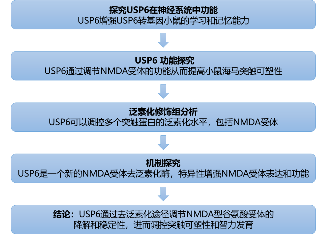 2024 新澳今晚資料,持續(xù)改進(jìn)策略_GKG82.677零障礙版