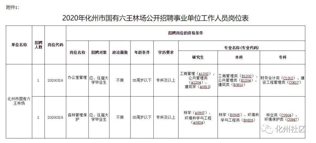 化州招聘最新招聘,化州招聘最新招聘，小巷深處的獨(dú)特機(jī)遇