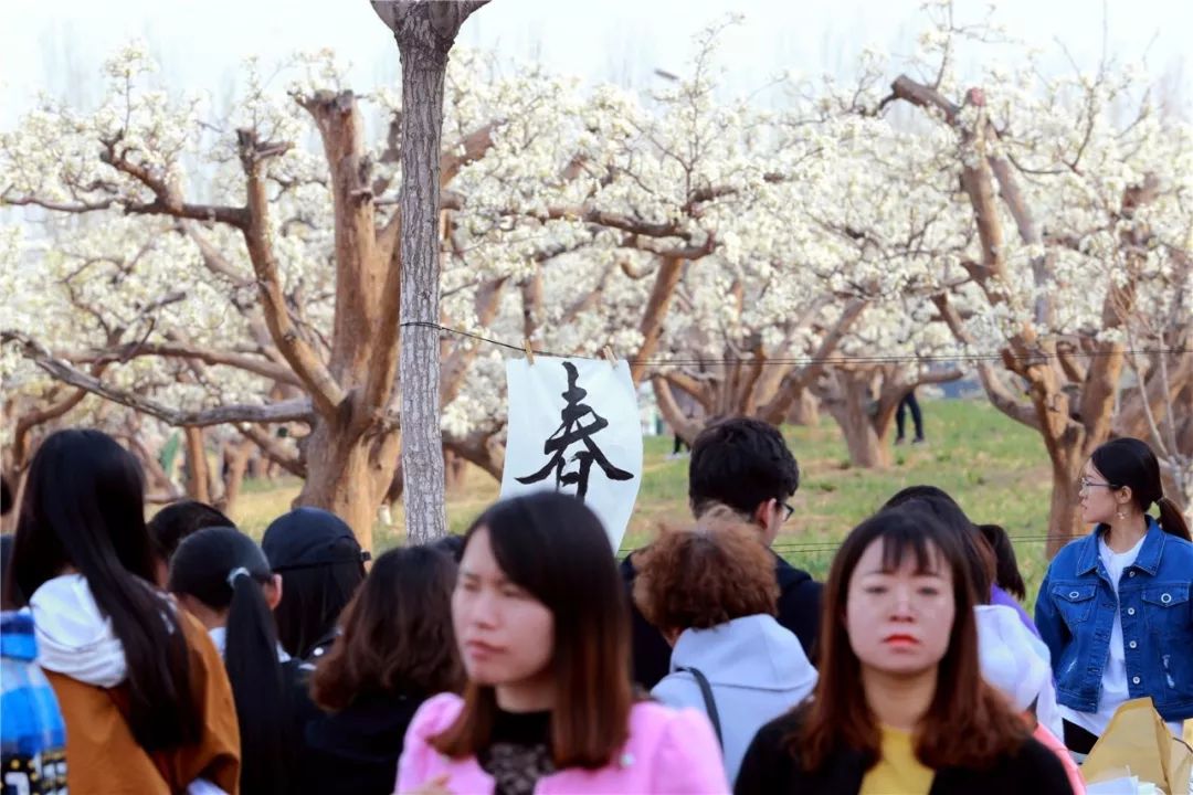 最新一期梨園春，探索自然美景的輕松之旅之旅。