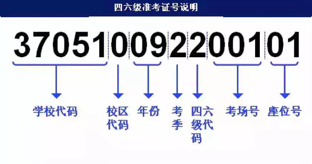 新澳門今晚開特馬開獎,精準解答方案詳解_YJG82.598專業(yè)版