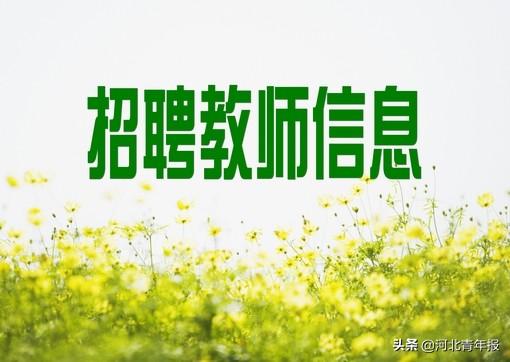 涉縣最新招聘信息揭秘，深度分析與個人洞察