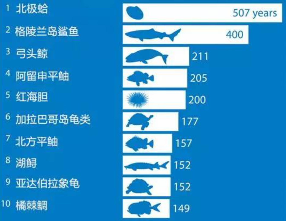 2024又要開始做核酸了,科學(xué)分析嚴(yán)謹(jǐn)解釋_RCF82.563潮流版