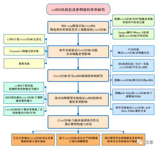 新澳門免費(fèi)資料大全精準(zhǔn),機(jī)制評估方案_BCT82.672清晰版