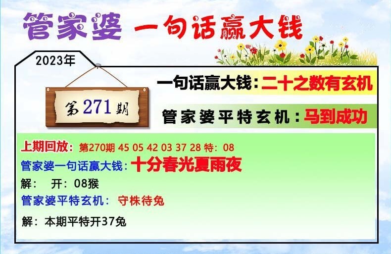 一肖一碼100管家婆,即時解答解析分析_MHF82.134緊湊版