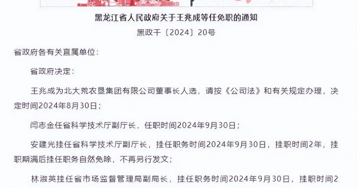 黑龍江最新人事任免，步驟指南及動態(tài)更新