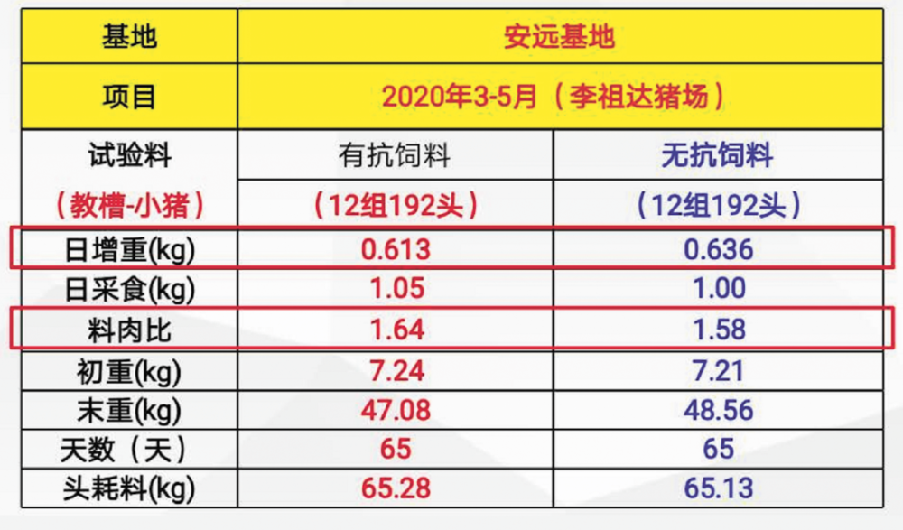 2024年開獎記錄歷史,執(zhí)行驗證計劃_DDL63.521強勁版