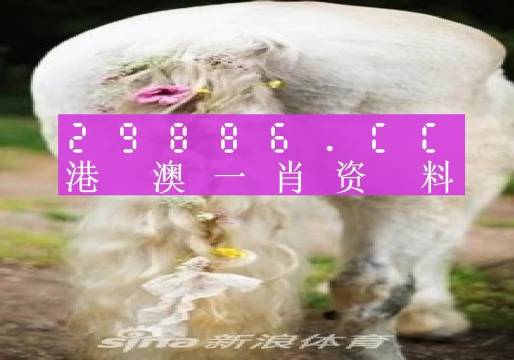 澳門四不像精準(zhǔn)一肖一碼,安全設(shè)計解析說明法_XHB71.820計算機版