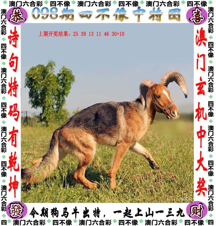 2024新版四不像圖,精準(zhǔn)數(shù)據(jù)評(píng)估_CVX13.153運(yùn)動(dòng)版