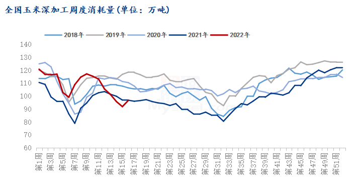 滑縣玉米價格最新動態(tài)，行情詳解與獲取渠道指南