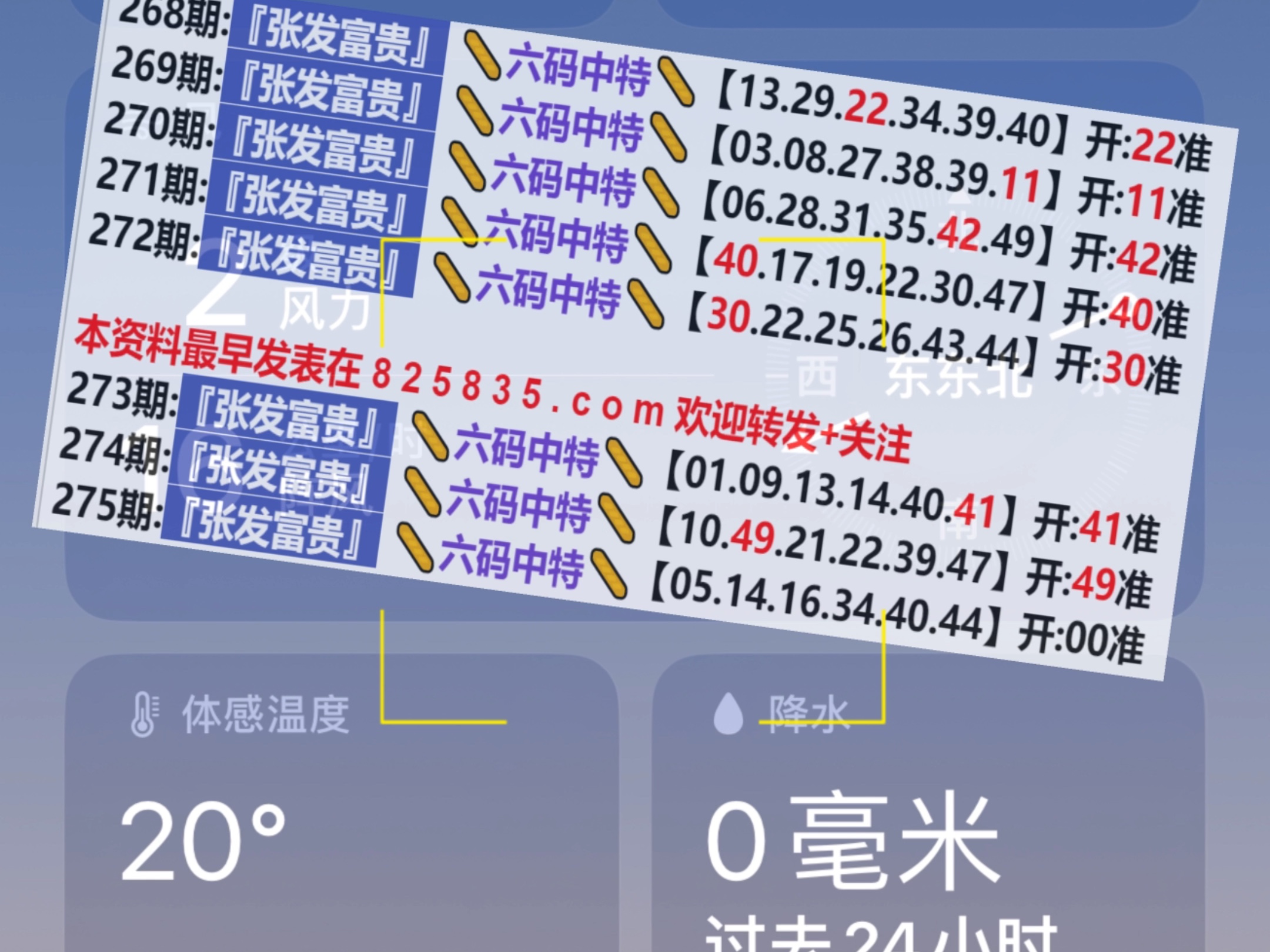 2024新奧歷史開獎記錄查詢表格,全面設計實施_SJP78.928增強版 2023澳門天天彩免費資料