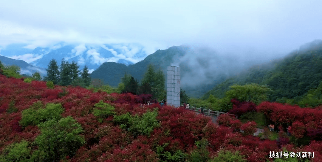 靈寶大王鎮(zhèn)最新動(dòng)態(tài)，自然美景探索之旅，尋找內(nèi)心平和之旅