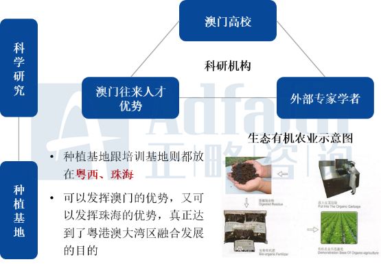 新澳資料免費資料大全一,數(shù)據(jù)詳解說明_WJM78.408內(nèi)置版